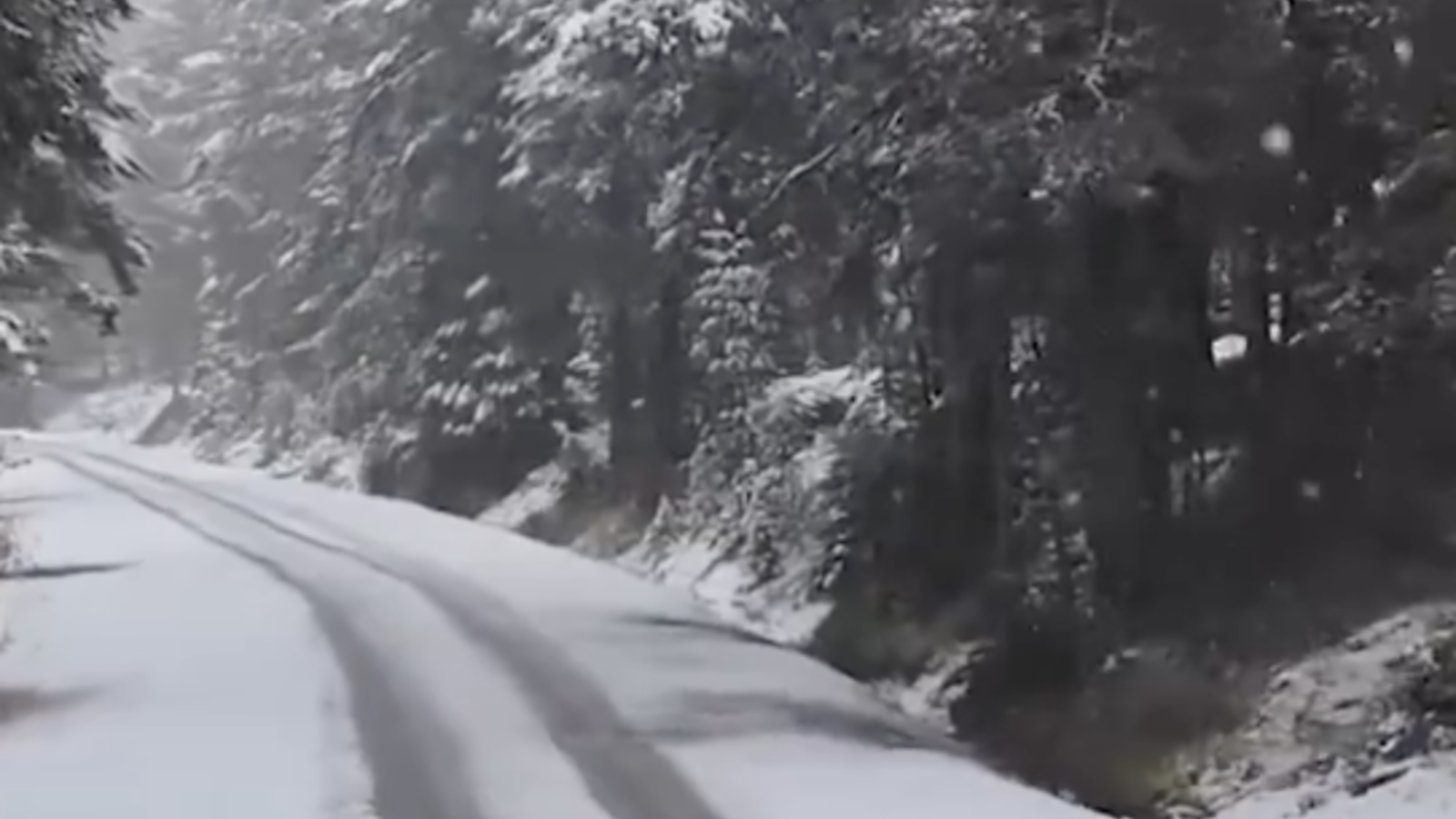 Bolu'nun yüksek kesimlerine yağan kardan manzaralar! ❄️