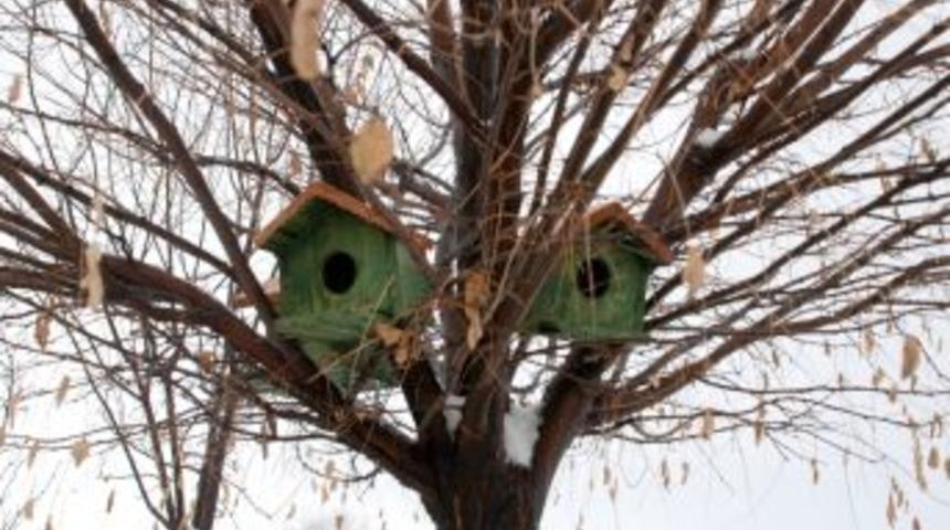 Akyurt Belediyesi'nden kuşlara barınak