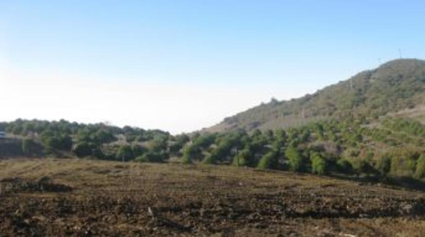 Umurbey &ccedil;&ouml;p d&ouml;k&uuml;m sahasının da rehabilitasyon &ccedil;alışmaları tamamlandı