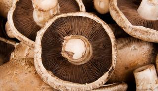 G&uuml;neşle buluşunca D vitamini &uuml;retiyor! Sofraların tanıdık besini