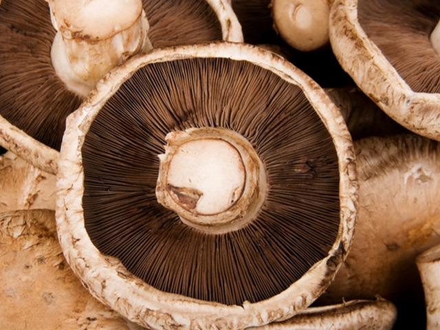 G&uuml;neşle buluşunca D vitamini &uuml;retiyor!
