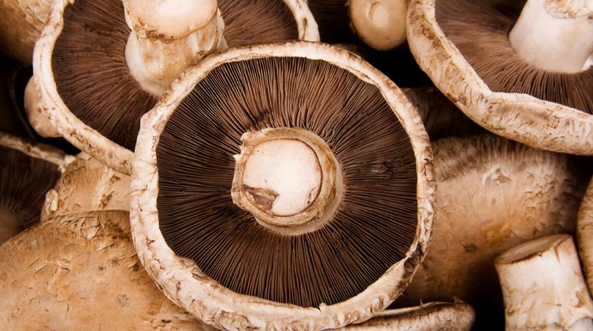 G&uuml;neşle buluşunca D vitamini &uuml;retiyor! Sofraların tanıdık besininin şaşırtan &ouml;zelliği 