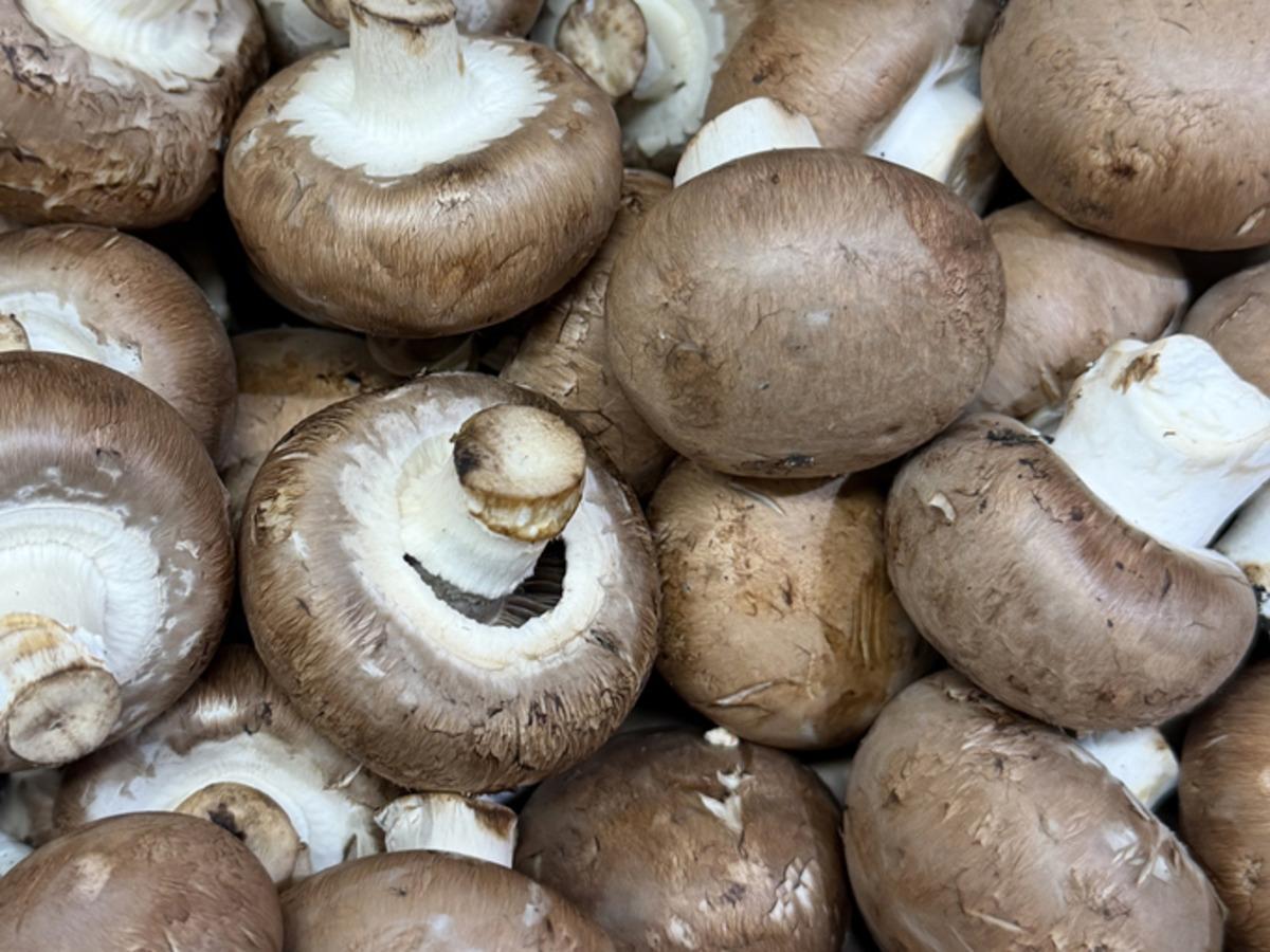 Güneşle buluşunca D vitamini üretiyor! Sofraların tanıdık besininin şaşırtan özelliği 2