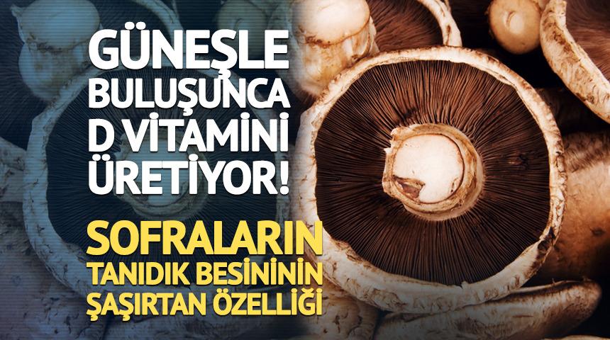 G&uuml;neşle buluşunca D vitamini &uuml;retiyor! Sofraların tanıdık besini