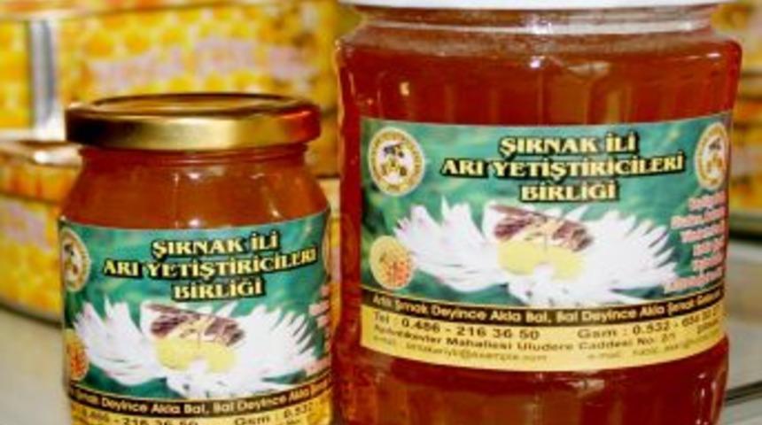 Artık Şırnak deyince akla bal gelecek