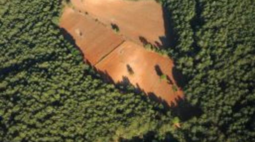 Balıkesir'de 35 bin hektar 2B alanından 255 milyon lira bekleniyor