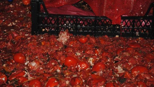 Çürümüş ve küflenmiş domatesleri halka yedireceklerdi... İfşa oldular