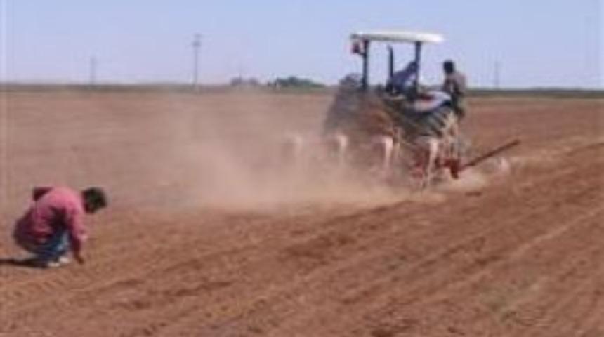 Sahte desteklemeye g&ouml;zaltı