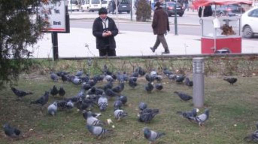 Heykel Meydanı'ndaki g&uuml;vercinler ona emanet