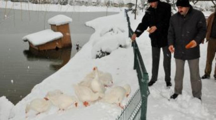 Belediye a&ccedil; kalan kuşları yemledi