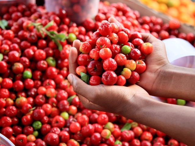 Kiraza benziyor, portakaldan 60 kat fazla C vitamini i&ccedil;eriyor