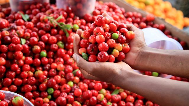 Kiraza benziyor ama özelliği bambaşka! Portakaldan 60 kat fazla C vitamini içeriyor