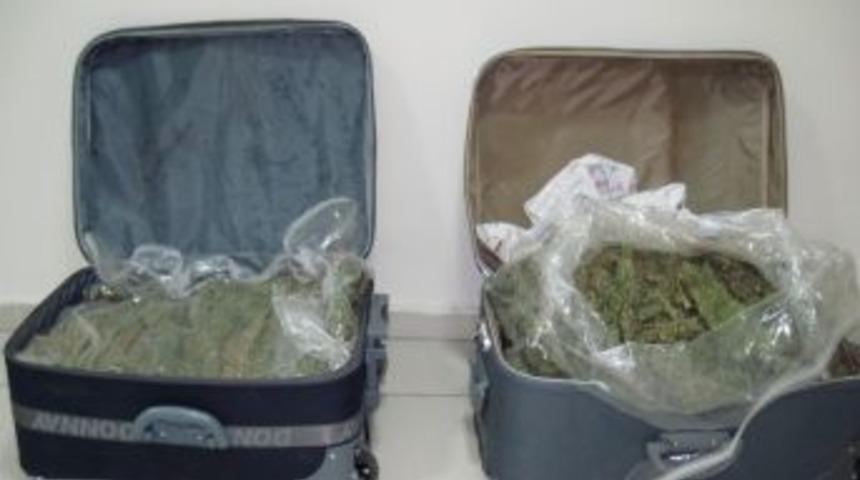 İzmir'de 55 kg. esrar maddesi ele ge&ccedil;irildi