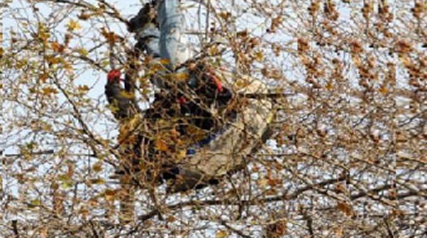 Paraş&uuml;t&ccedil;&uuml; ağa&ccedil;ta asılı kaldı