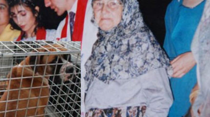 Oğlunun beslediği k&ouml;pek tarafından &ouml;ld&uuml;r&uuml;ld&uuml;!