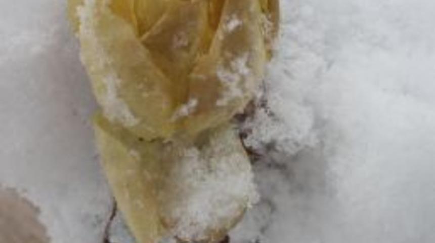 Kar ve soğuk, kış g&uuml;llerini soldurdu