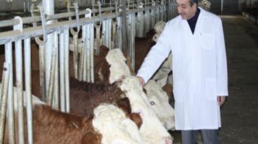 Bakan Eker: 22 projeyi DAP kapsamında destekleyeceğiz