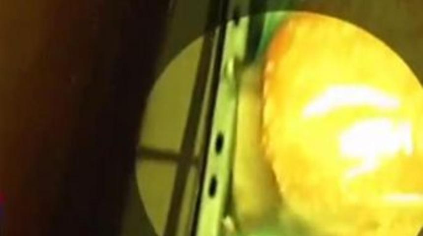 &Uuml;nl&uuml; &lsquo;fast food&rsquo; firmasının ekmek poşeti i&ccedil;inde canlı fare iddiası