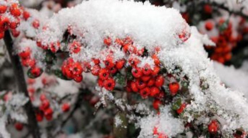 Kayseri&rsquo;de kar yağışı etkisini artırdı