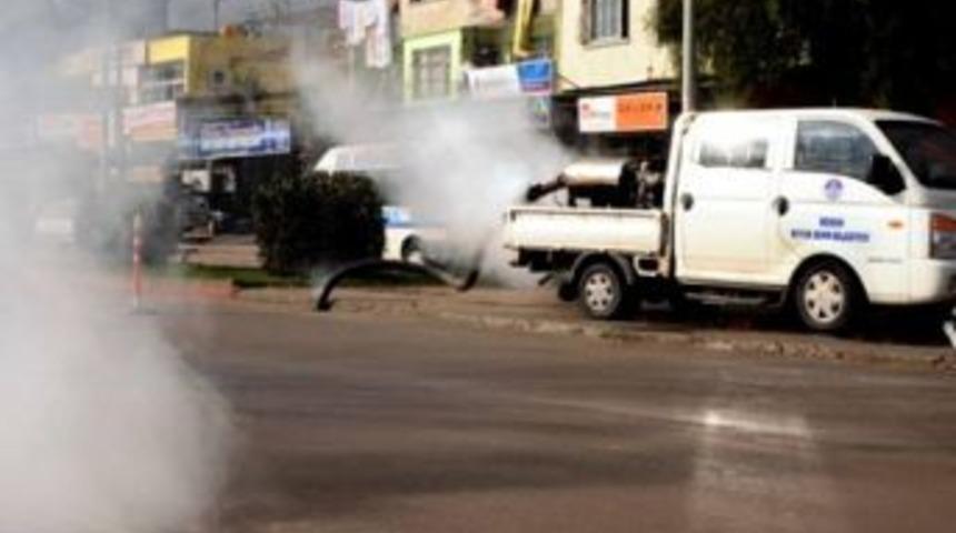 Büyükşehir sinekle mücadeleye devam ediyor