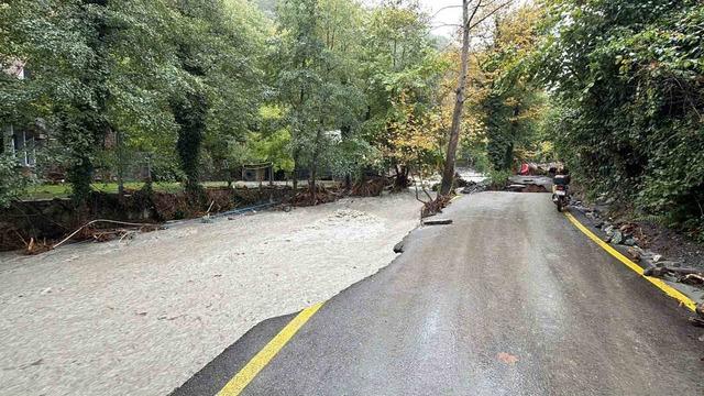 Sakarya&rsquo;da selin &ouml;n&uuml;ne kattığı her şey s&uuml;r&uuml;klendi 4