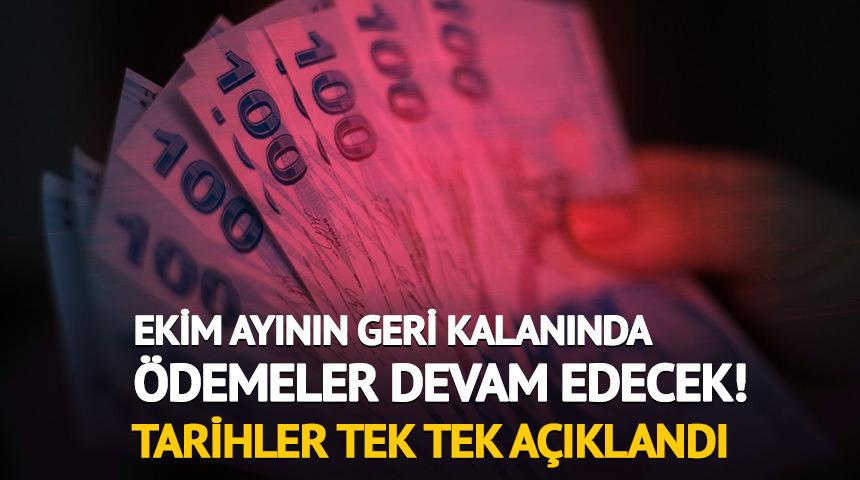 Ekim bitmeden 8 şirket daha temett&uuml; dağıtacak! İşte tarihler