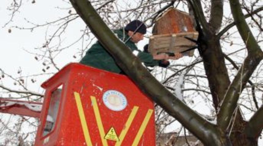 Talas'ta ağa&ccedil;lara kuşluk monte edildi