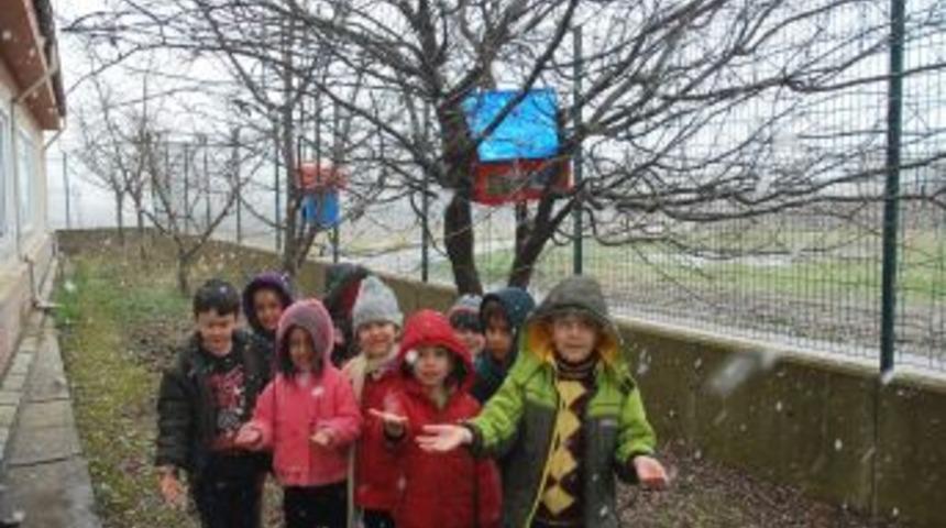 Kuşlar üşümesin diye okul bahçesine yuva yaptılar