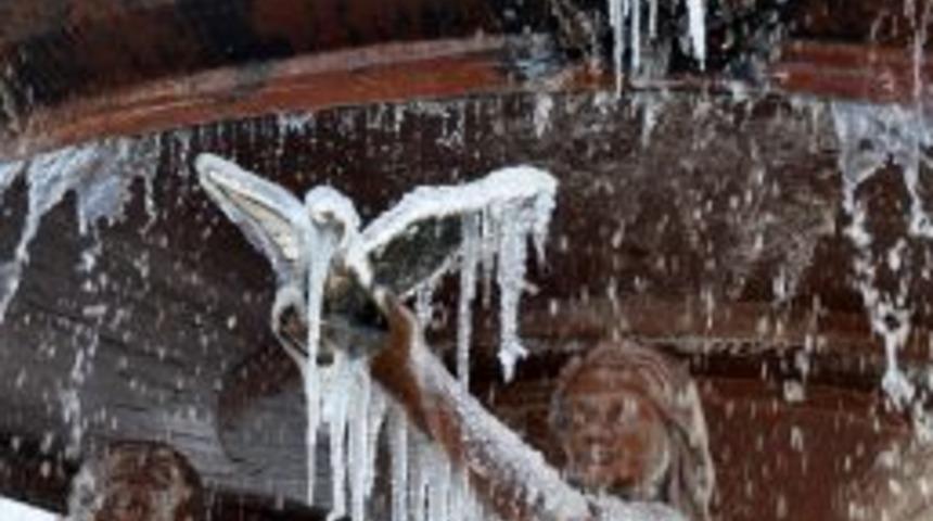 Dondurucu soğuğun etkili olduğu Edirne'de s&uuml;s havuzları buz tuttu