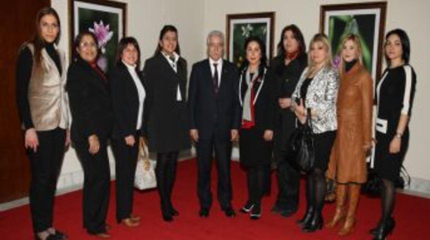 Aldırmaz: Bayanların y&ouml;nettiği kuruluşlar &ccedil;ok başarılı oluyor