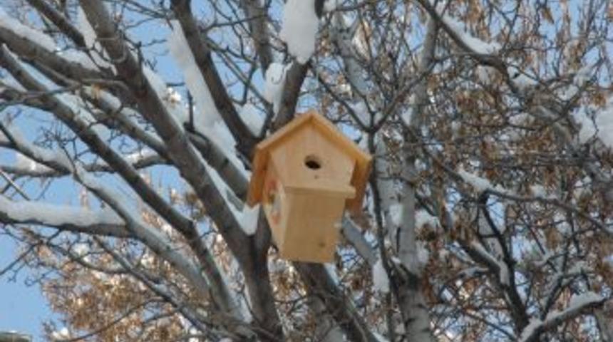 Valinin emri ile yuvasız kuşlara barınak yapıldı