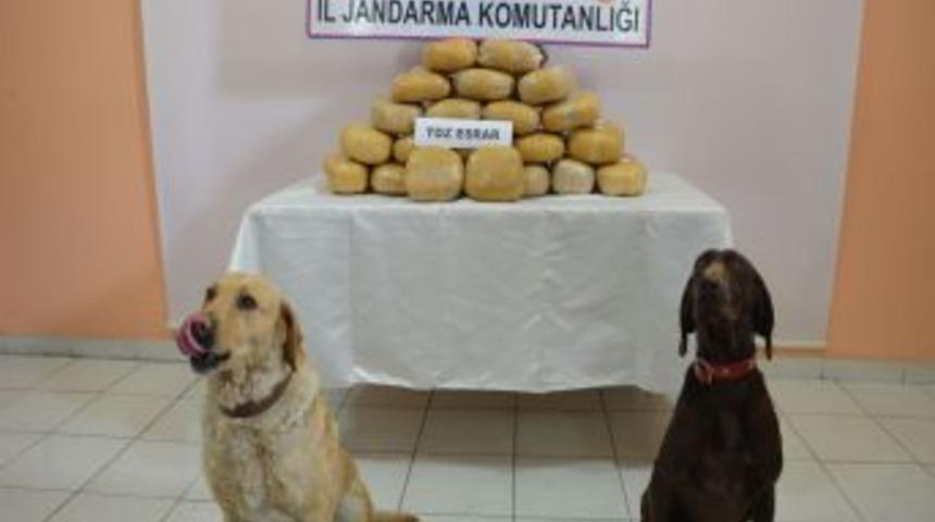 Hakkari'de araziye bırakılmış halde 48 kilo toz esrar bulundu