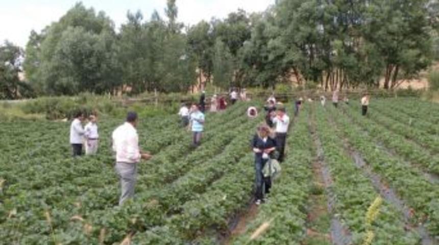 Destekleme &ouml;demeleri dosya teslim s&uuml;resi 3 Şubat'a kadar uzatıldı