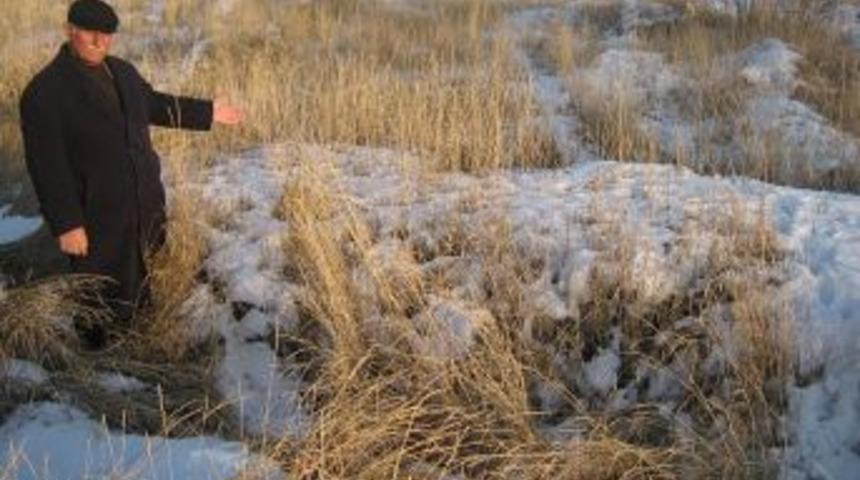 Kağızman'da bir toplu mezar daha bulundu