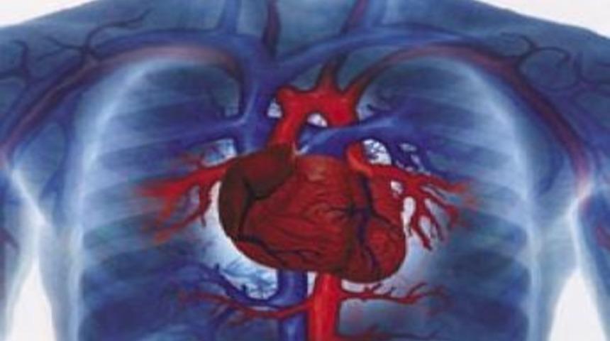 Damar sertliği inme ve beyin kanamasına sebep oluyor