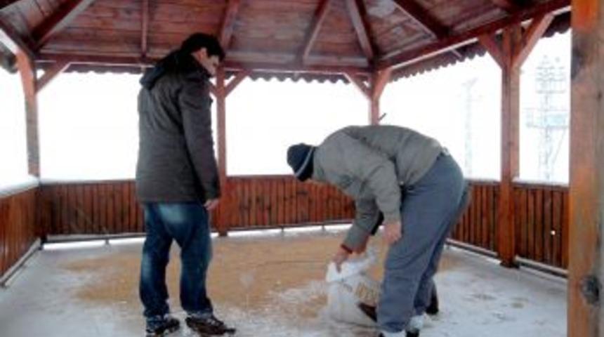 Orhaneli'nde kuşlara yem bırakıldı