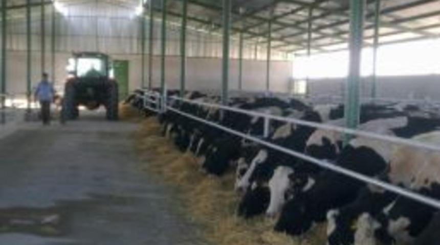 Kulu, ayda 300 ton sağlıklı s&uuml;t &uuml;retecek