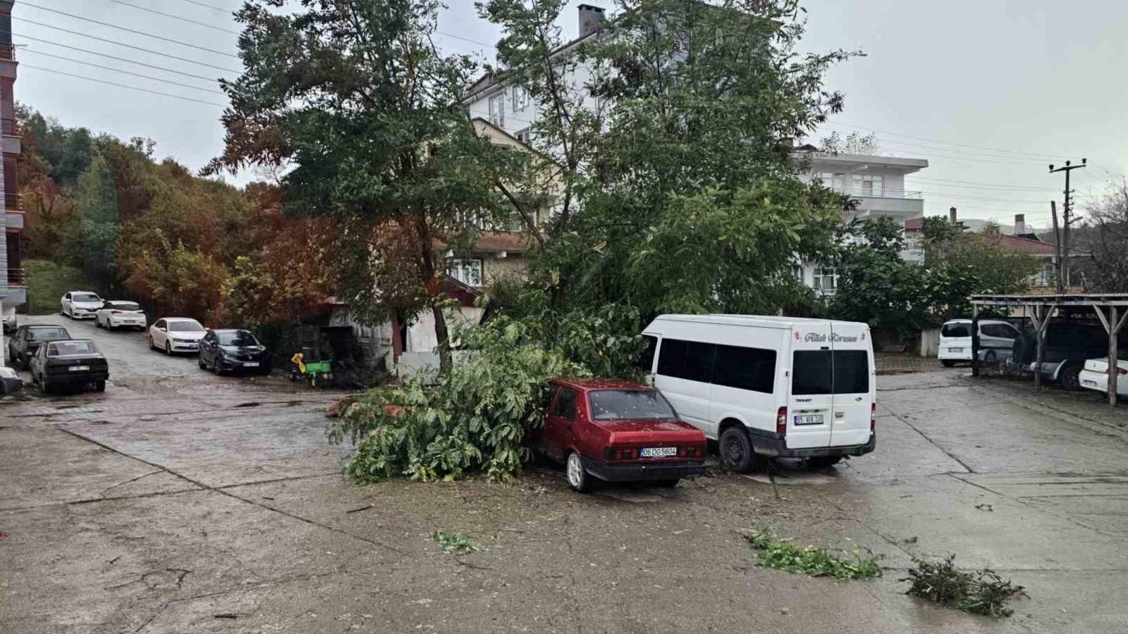 Kastamonu’da fırtına çatıları uçurdu, ağaçları devirdi