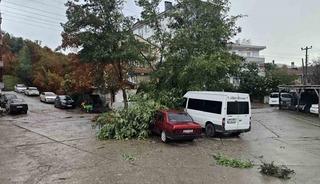 Kastamonu&rsquo;da fırtına &ccedil;atıları u&ccedil;urdu, ağa&ccedil;ları devirdi