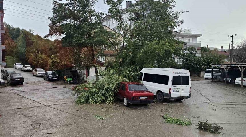 Kastamonu&rsquo;da fırtına &ccedil;atıları u&ccedil;urdu, ağa&ccedil;ları devirdi
