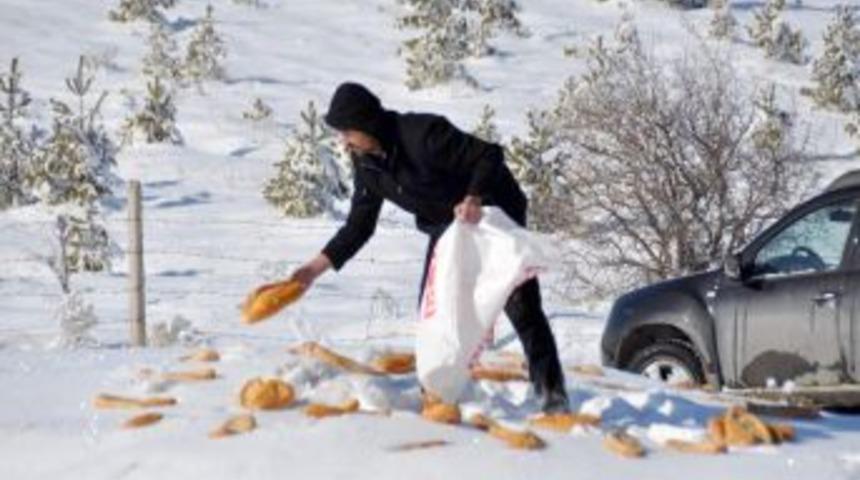 Yozgat'ta yaban hayvanları i&ccedil;in doğaya yiyecek bırakıldı