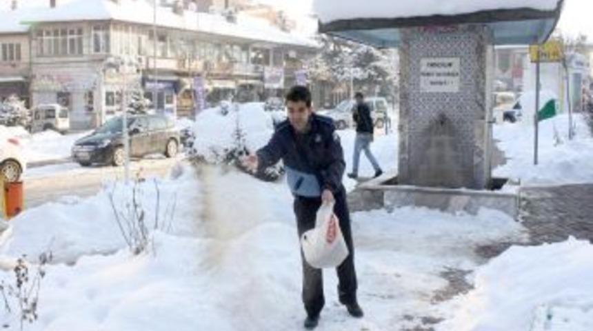 A&ccedil; kalan kuşlara belediye sahip &ccedil;ıktı