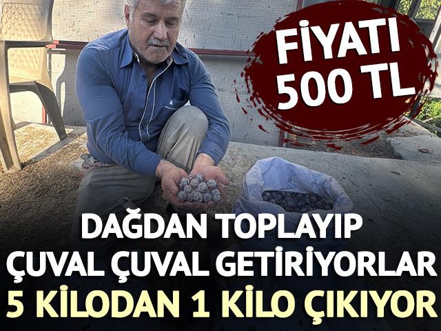 &Ccedil;uval &ccedil;uval getiriyorlar! 5 kilodan 1 kilo &ccedil;ıkıyor: Fiyatı 500 TL