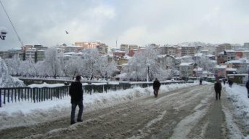 Alaplı kara teslim oldu