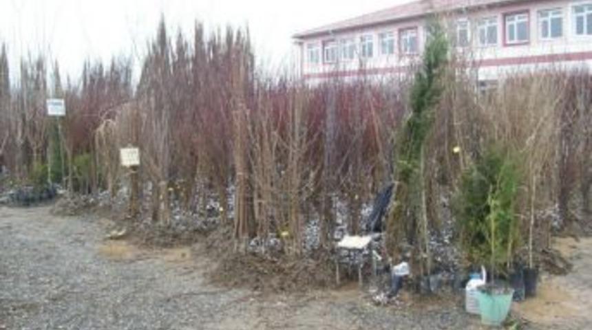 &Ccedil;ift&ccedil;iler fidan uyarısı: K&ouml;k&uuml; a&ccedil;ık halde satılan fidanları almayın