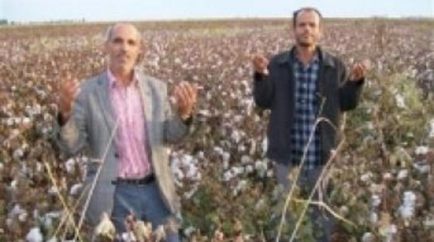 Şanlıurfa &ccedil;ift&ccedil;isi zor durumda