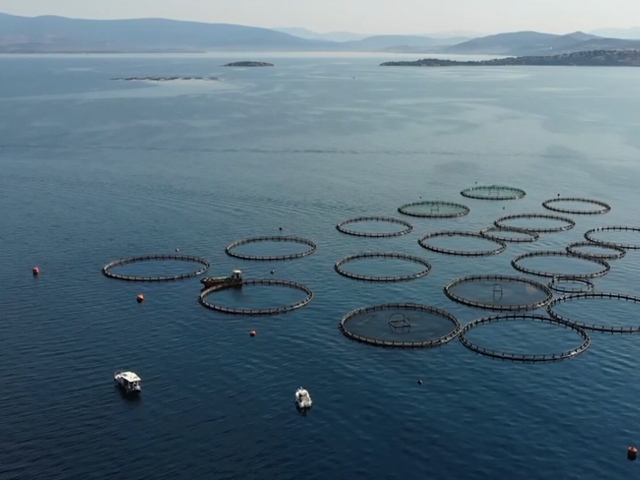 Muğla'dan su &uuml;r&uuml;nleri ihracatı 9 ayda 630 milyon 901 bin dolara ulaştı