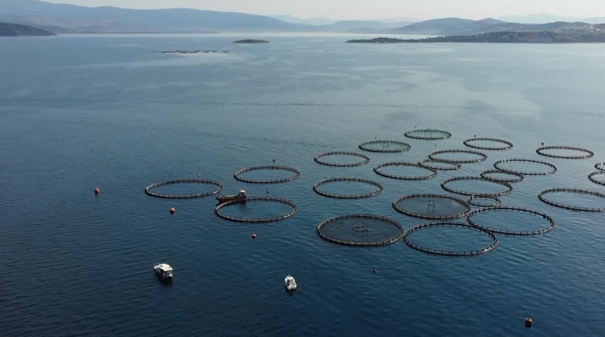 Muğla'dan su &uuml;r&uuml;nleri ihracatı 9 ayda 630 milyon 901 bin dolara ulaştı