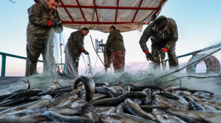 Satış fiyatı 39 liraya d&uuml;şt&uuml;, maliyeti 100 bin lira: Balık&ccedil;ılar isyan etti!
