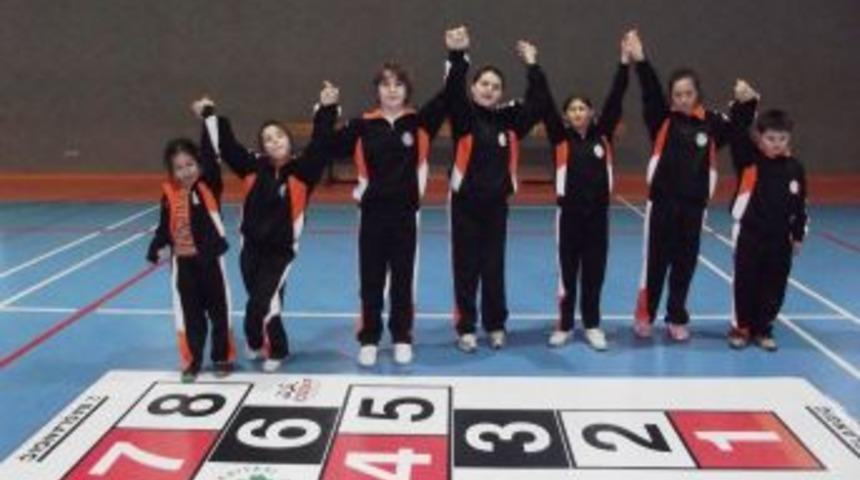 Sek sek oyununa bilimsel inceleme